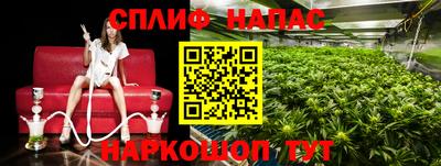 ПСИЛОЦИБИНОВЫЕ ГРИБЫ Малгобек