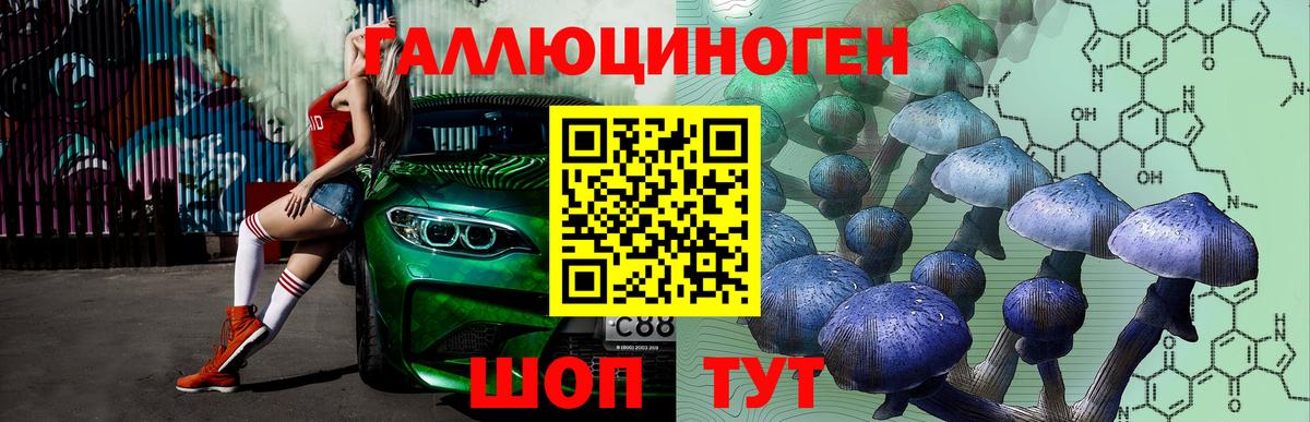 Псилоцибиновые грибы Cubensis  Вход с VPN  Джанкой 