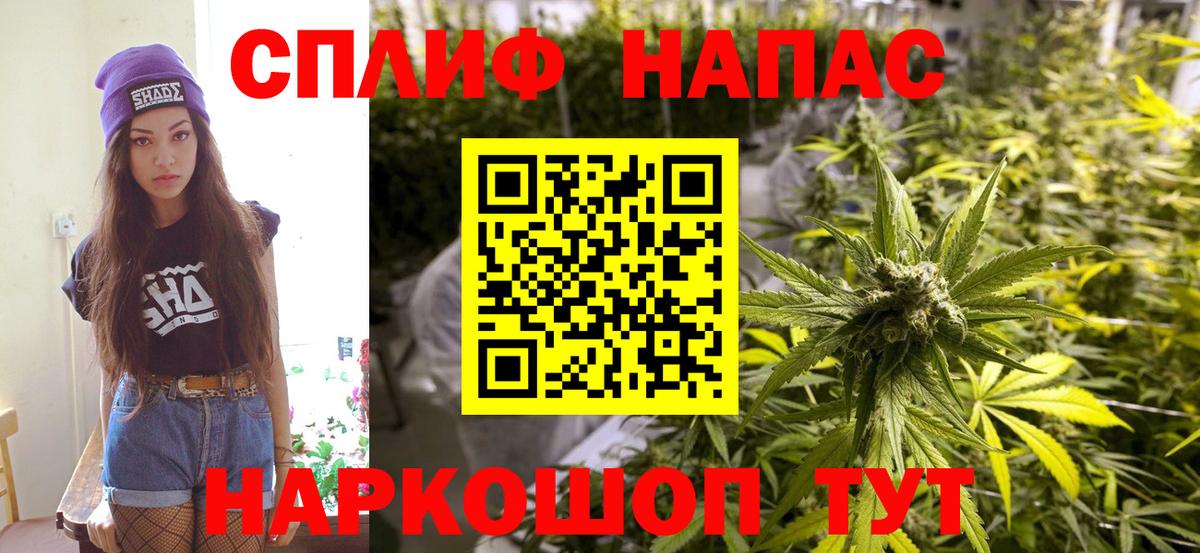 Бошки Шишки MAZAR Джанкой